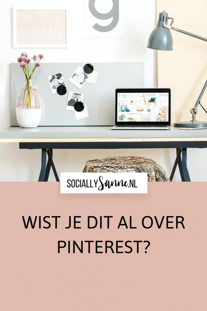 1 33 tips voor Pinterest marketing voor ondernemers - Socially Sanne blog